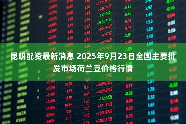 昆明配资最新消息 2025年9月23日全国主要批发市场荷兰豆价格行情